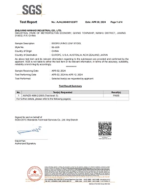 SGS BL-LES(AS 4688) AJHL2404001323FT conv 1
